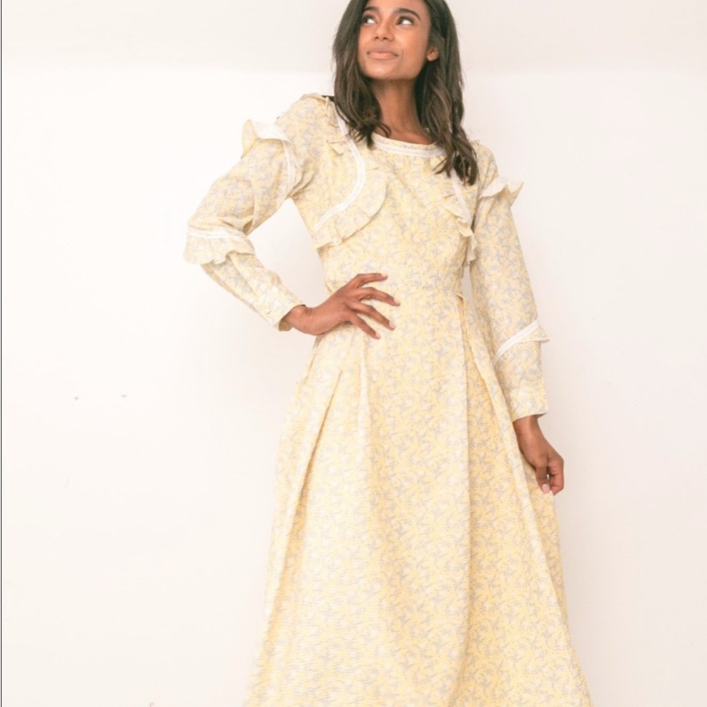 Ivy and Co Leighton dress Small Brand New